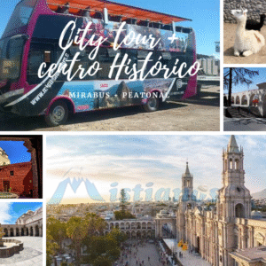 City tour + Tour Peatonal centro Histórico