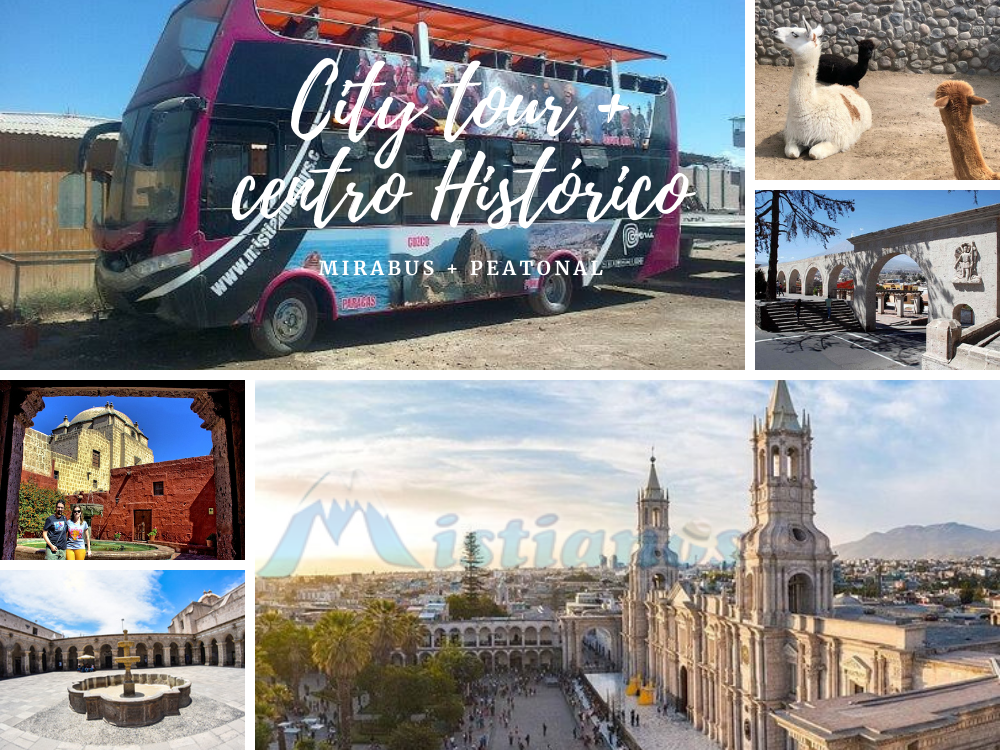 City Tours Campiña 2 horas y media