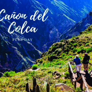 Colca Full Day