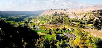 City Tours Campiña 2 horas y media - Imagen 3