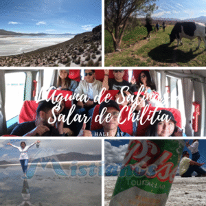 Laguna de Salinas - Half Day